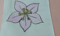 简笔画紫荆花的画法