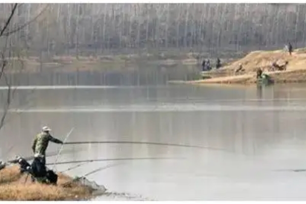 钓鱼的技巧和方法 钓鱼技巧及方法