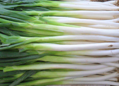 蜂蜜不能和什么一起吃