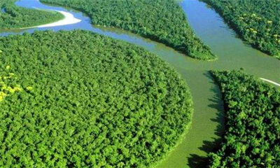 世界流域面积最大的河