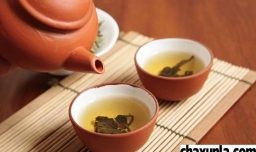 什么时间喝茶水最好