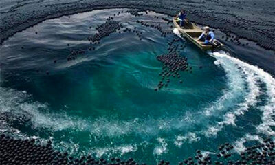 厄尔尼诺现象对中国的影响是什么