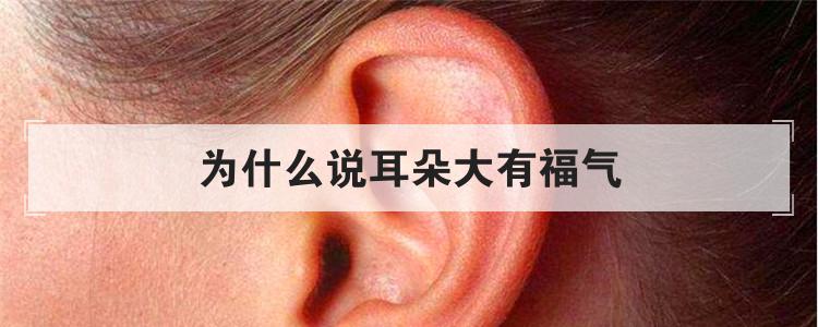为什么说耳朵大有福气