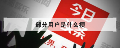 部分用户是什么梗