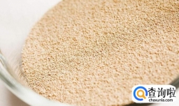 烤面包怎样正确揉面？