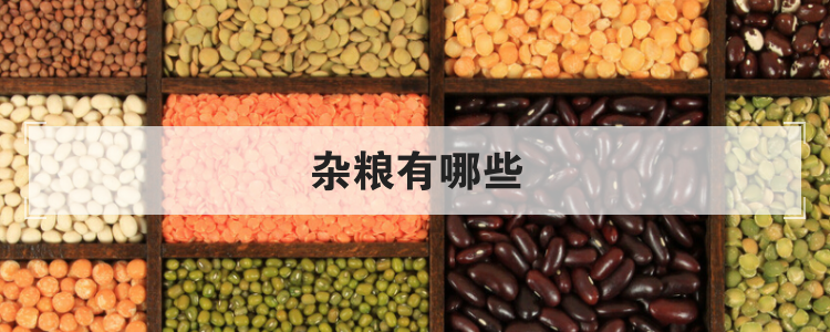 杂粮有哪些