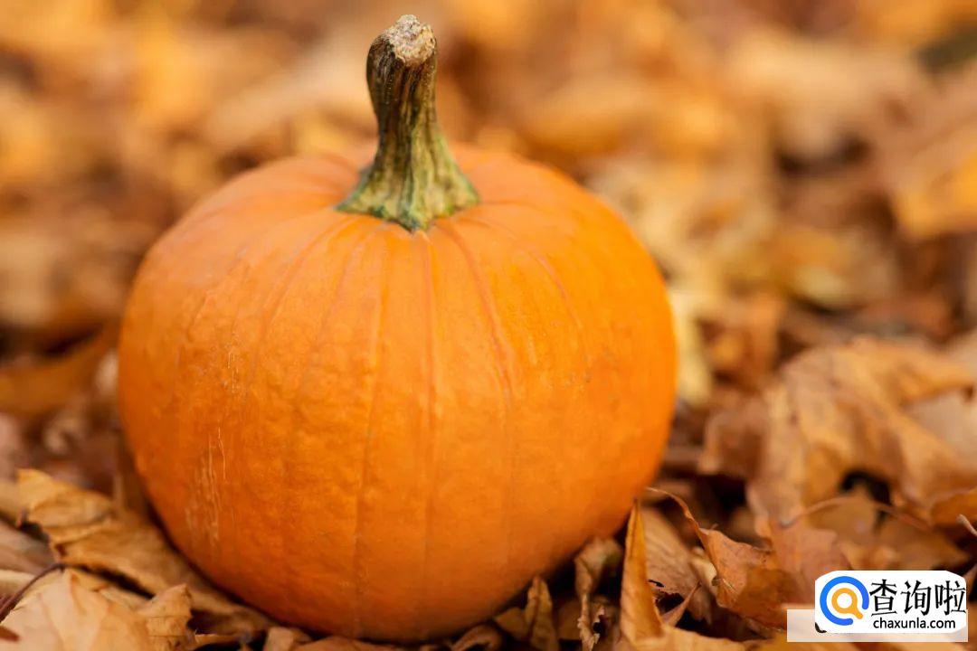 南瓜的营养价值及功效与作用br