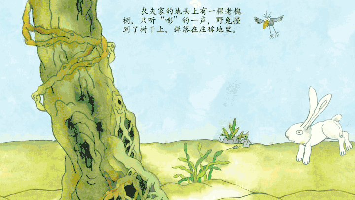 守株待兔的故事主要讲了什么