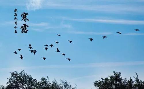 寒露节气有什么特点