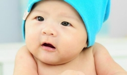 蒲姓起名字大全