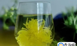 菊花茶为什么发白