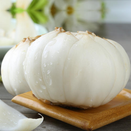 新鲜百合如何长期保存