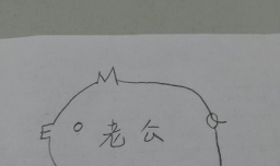 抖音上怎么用老公和字母画猪猪