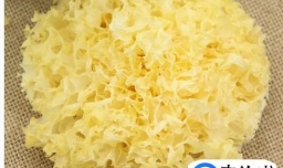 教你炖银耳汤的正确方法