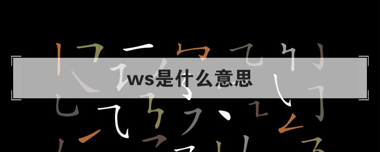 ws是什么意思