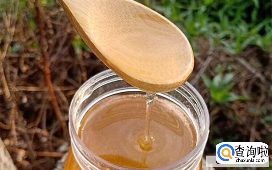 如何来辨别枇杷蜜的真假