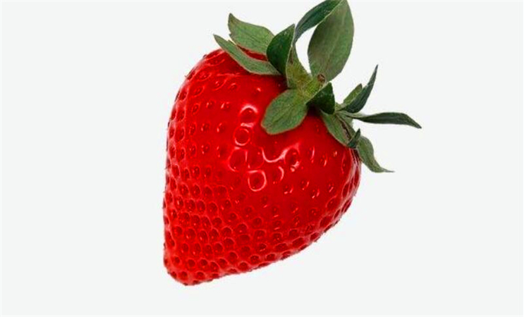 草莓是什么季节的水果