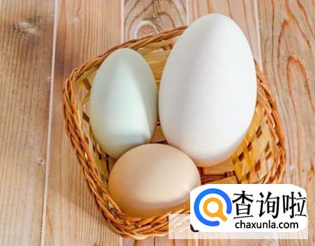 孕妇吃鹅蛋有那些好处
