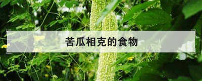 苦瓜相克的食物
