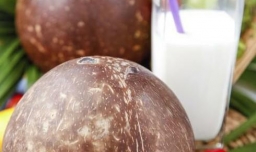 如何用椰肉做椰子汁（椰肉怎样做椰子汁）