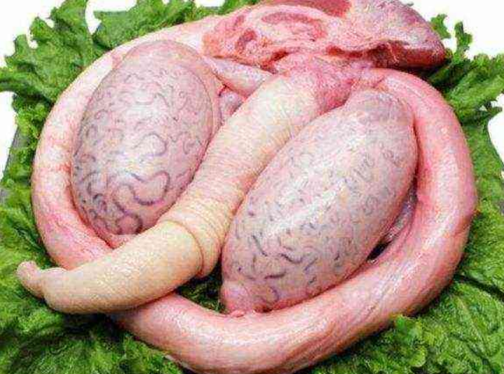 牛鞭功效与作用及禁忌