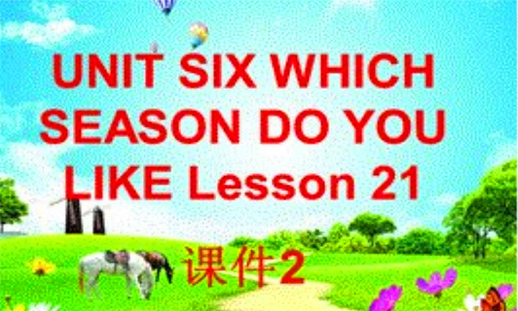 which是什么意思