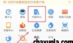 如何查职工养老保险缴费情况