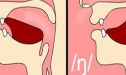 前鼻音和后鼻音有哪些？