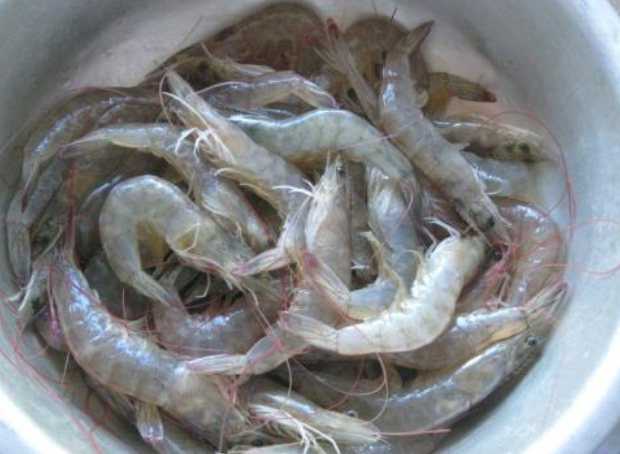 虾过夜还能吃吗