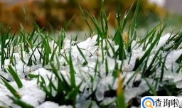 2023年4月份还会有霜冻吗