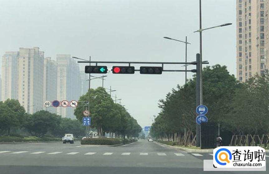 带箭头的红灯绿灯同时亮怎么走