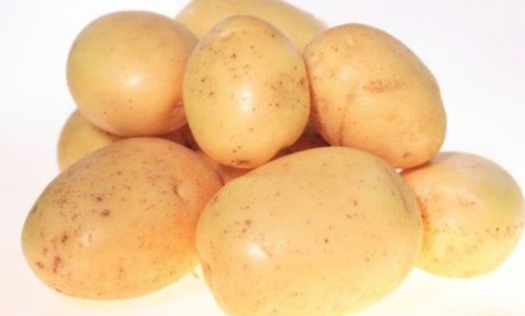 高热量食物有哪些