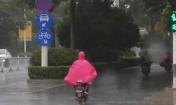 降雨量50毫米是什么意思？