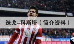 迭戈-科斯塔（简介资料）