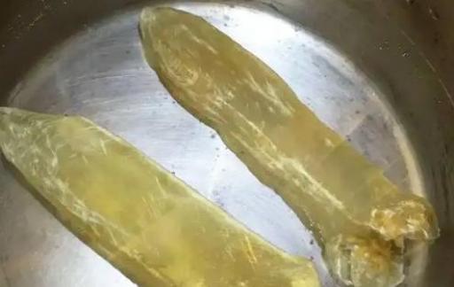 如何辨别鱼胶真假