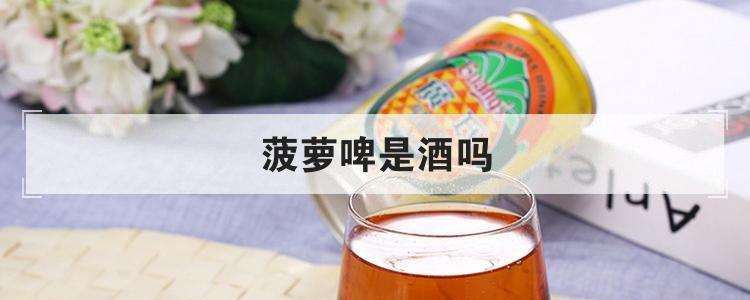 菠萝啤是酒吗