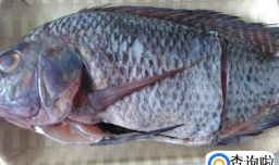 豆豉蒸罗非鱼的做法