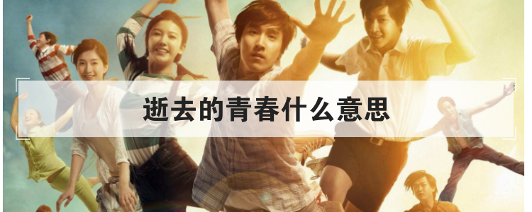 逝去的青春什么意思