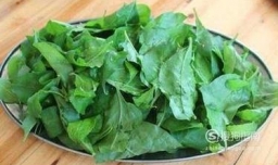 生炒枸杞叶的做法