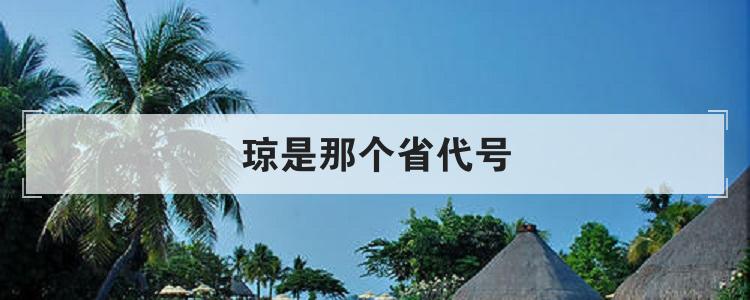 琼是那个省代号