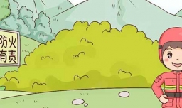 有哪些森林防火顺口溜？