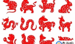 生肖相冲如何化解？