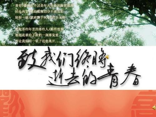 逝去的青春什么意思