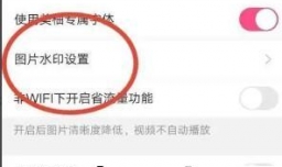 怎样设置美柚图片无水印