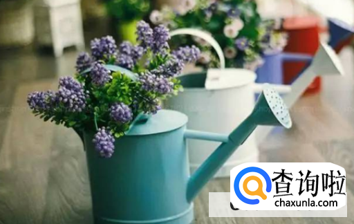 养花的注意事项