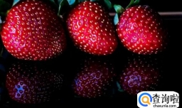 黑色草莓是真的吗