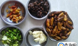 豆酱辣椒爆蚕蛹