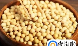 用内酯怎么做豆腐---做豆腐的详细图解