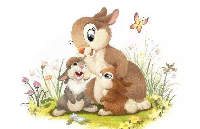 大灰狼和小白兔的故事主要讲了什么