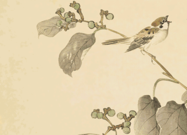 诗经里草木茂盛的诗句有哪些